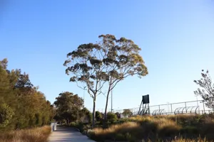 2025-06-21 Bartons Park - IMG_2587_compressed_q50.webp